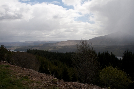 IMG_6626.jpg